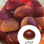 丹波産 丹波栗（生栗）L 1kg