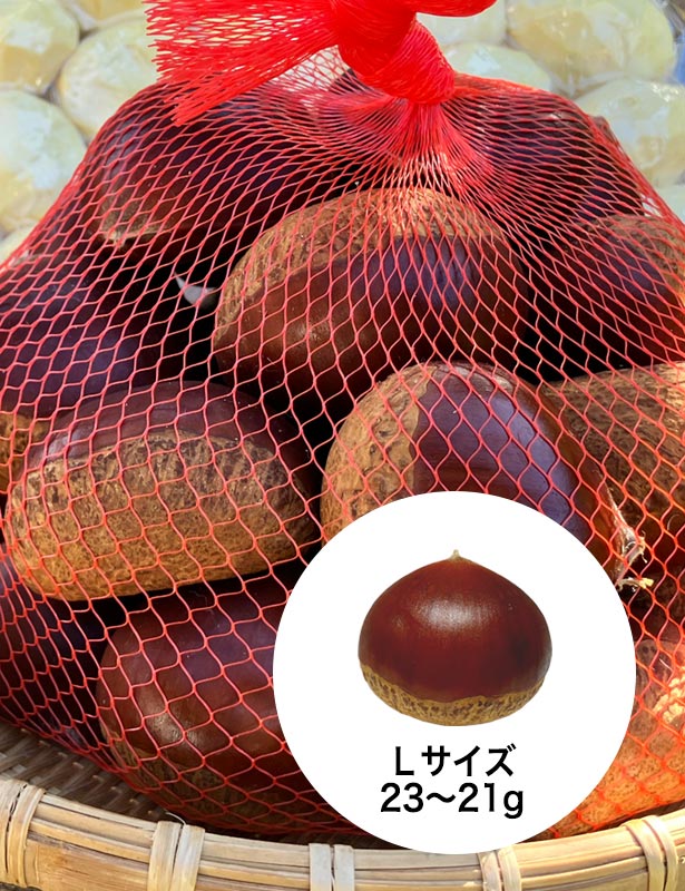 丹波産 丹波栗（生栗）L 1kg