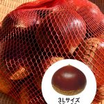 丹波産 丹波栗（生栗）3L 1kg