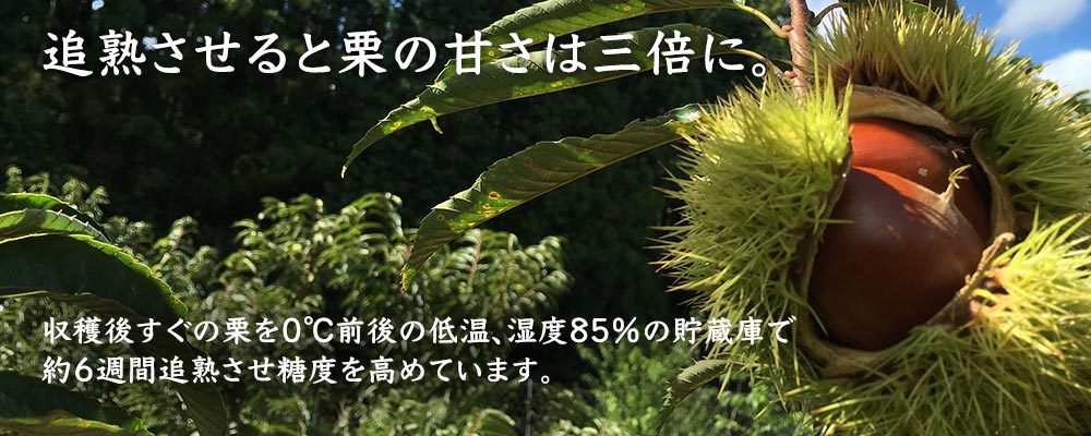 丹波こしひかり霧海米の販売