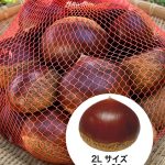 丹波栗2Lサイズ